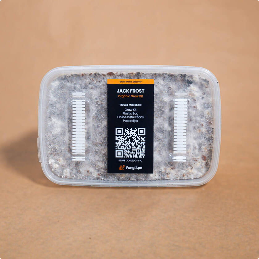 najlepszy zestaw do uprawy grzybów halucynogennych